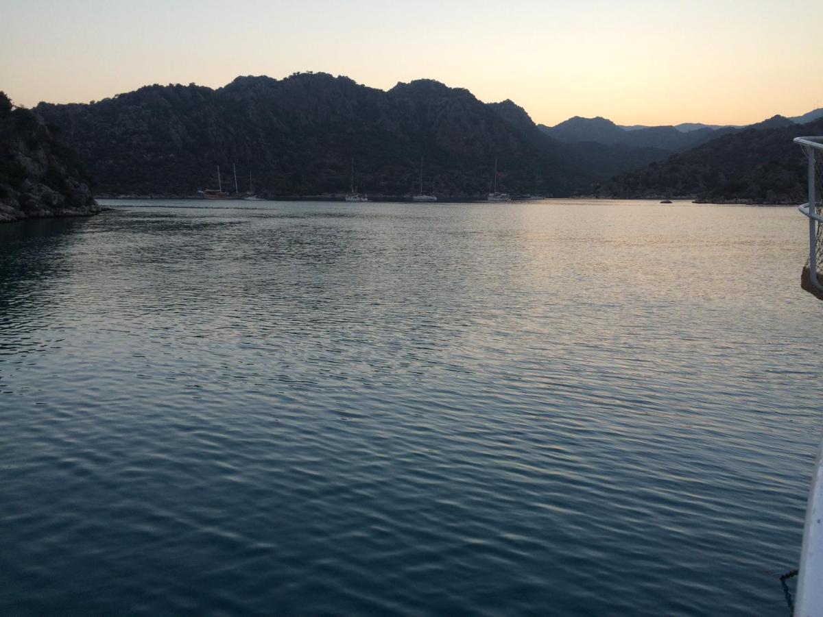 دمرة Soral Apart المظهر الخارجي الصورة