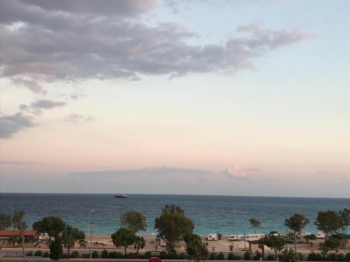 دمرة Soral Apart المظهر الخارجي الصورة
